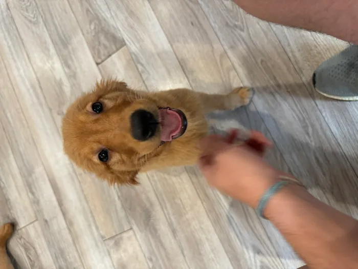 Oakley